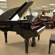 2014 FANCY William Knabe grand piano - Grand Pianos